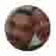 John Wolverguy profile picture
