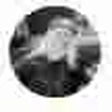 PapaJoe420 profile picture