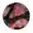Shelby profile picture